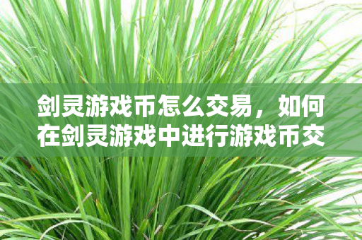 剑灵游戏币怎么交易,如何在剑灵游戏中进行游戏币交易? 剑灵游戏币怎么交易,如何在剑灵游戏中进行游戏币交易?