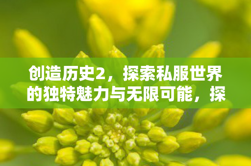 创造历史2,探索私服世界的独特魅力与无限可能,探索私服世界的独特魅力与无限可能 创造历史2,探索私服世界的独特魅力与无限可能,探索私服世界的独特魅力与无限可能
