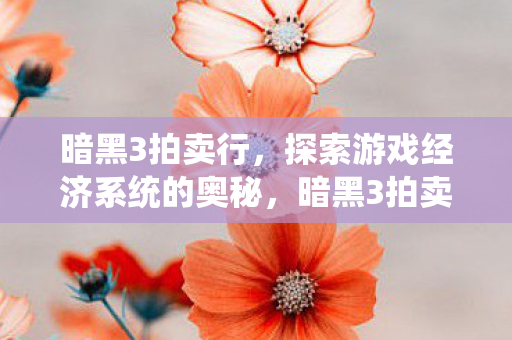 暗黑3拍卖行，探索游戏经济系统的奥秘，暗黑3拍卖行，揭秘游戏经济系统奥秘