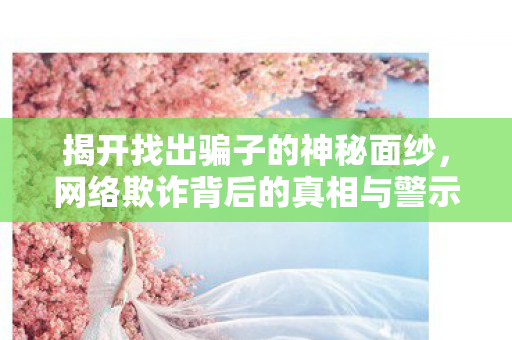 揭开找出骗子的神秘面纱，网络欺诈背后的真相与警示，网络欺诈背后的真相与警示，揭开骗子的神秘面纱