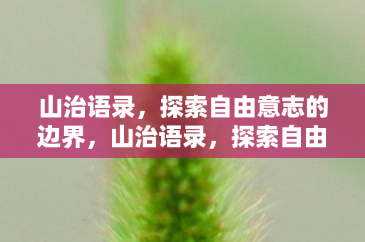 山治语录，探索自由意志的边界，山治语录，探索自由意志的边界