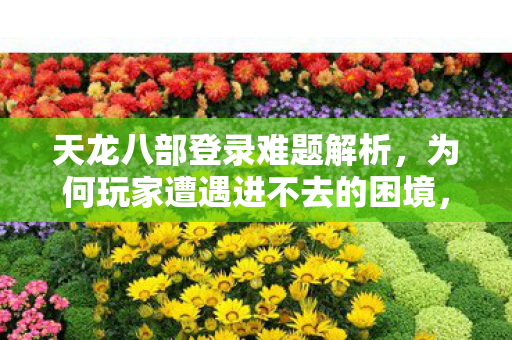 为何玩家遭遇进不去的困境图片