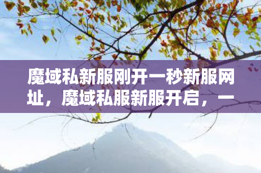 魔域私新服刚开一秒新服网址，魔域私服新服开启，一秒新服网址揭秘