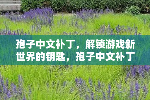 孢子中文补丁，解锁游戏新世界的钥匙，孢子中文补丁，解锁游戏新世界
