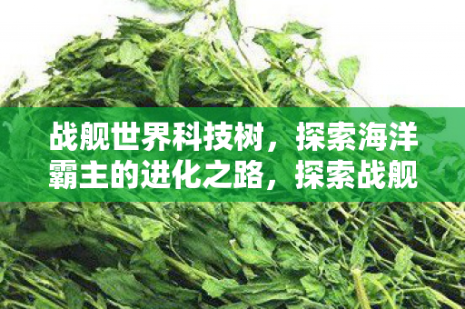 战舰世界科技树，探索海洋霸主的进化之路，探索战舰世界科技树，海洋霸主的进化之路
