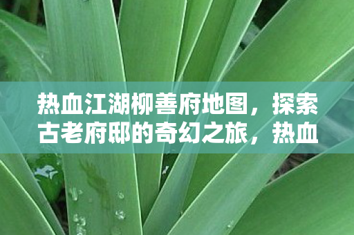 探索古老府邸的奇幻之旅图片