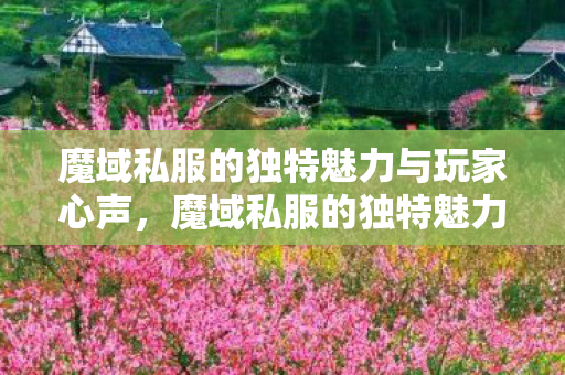 魔域私服的独特魅力与玩家心声，魔域私服的独特魅力，玩家心声揭秘