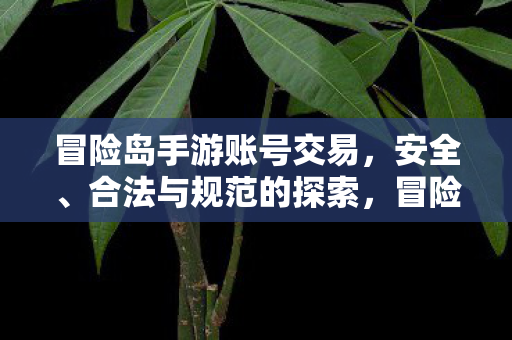 冒险岛手游账号交易,安全、合法与规范的探索,冒险岛手游账号交易,探索安全、合法与规范之道 冒险岛手游账号交易,安全、合法与规范的探索,冒险岛手游账号交易,探索安全、合法与规范之道