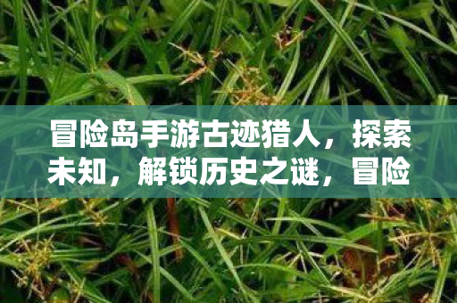 冒险岛手游古迹猎人,探索未知,解锁历史之谜,冒险岛手游古迹猎人,解锁历史之谜,探索未知之旅 冒险岛手游古迹猎人,探索未知,解锁历史之谜,冒险岛手游古迹猎人,解锁历史之谜,探索未知之旅