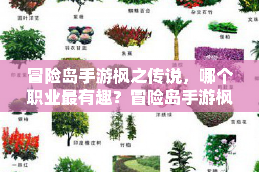 冒险岛手游枫之传说图片