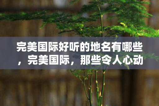 完美国际好听的地名有哪些图片