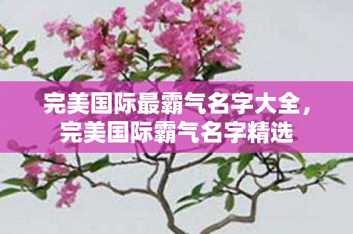 完美国际最霸气名字大全,完美国际霸气名字精选 完美国际最霸气名字大全,完美国际霸气名字精选