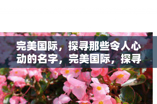探寻那些令人心动的名字图片