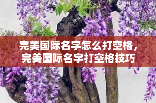 完美国际名字怎么打空格,完美国际名字打空格技巧 完美国际名字怎么打空格,完美国际名字打空格技巧