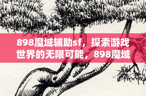 898魔域辅助sf，探索游戏世界的无限可能，898魔域辅助sf，解锁游戏世界的无限可能