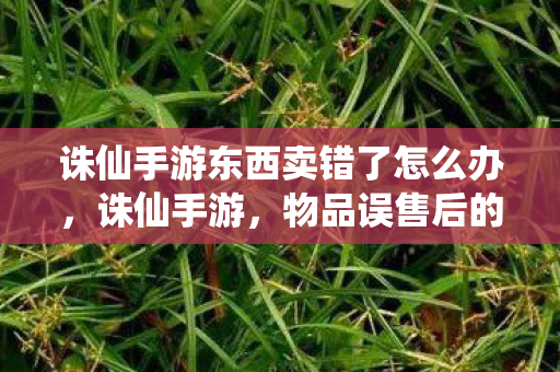 诛仙手游东西卖错了怎么办图片