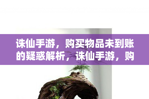 购买物品未到账的疑惑解析图片