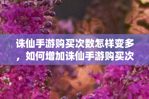 诛仙手游购买次数怎样变多图片