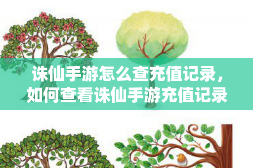 如何查看诛仙手游充值记录图片