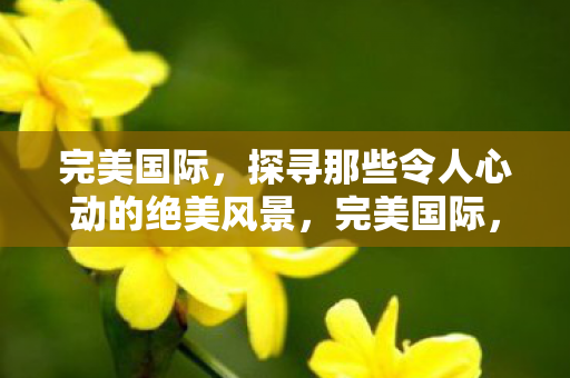 探寻那些令人心动的绝美风景图片