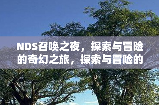 NDS召唤之夜,探索与冒险的奇幻之旅,探索与冒险的奇幻之旅,NDS召唤之夜 NDS召唤之夜,探索与冒险的奇幻之旅,探索与冒险的奇幻之旅,NDS召唤之夜