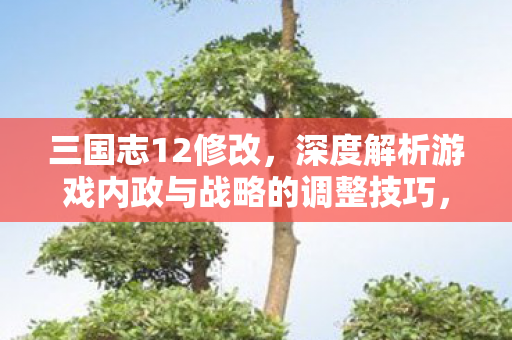 三国志12修改,深度解析游戏内政与战略的调整技巧,三国志12游戏内政与战略调整技巧深度解析 三国志12修改,深度解析游戏内政与战略的调整技巧,三国志12游戏内政与战略调整技巧深度解析