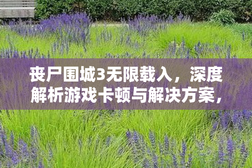 丧尸围城3无限载入，深度解析游戏卡顿与解决方案，丧尸围城3卡顿问题深度解析及解决方案