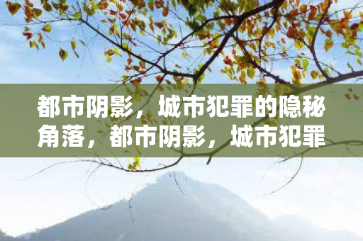 都市阴影，城市犯罪的隐秘角落，都市阴影，城市犯罪的隐秘角落