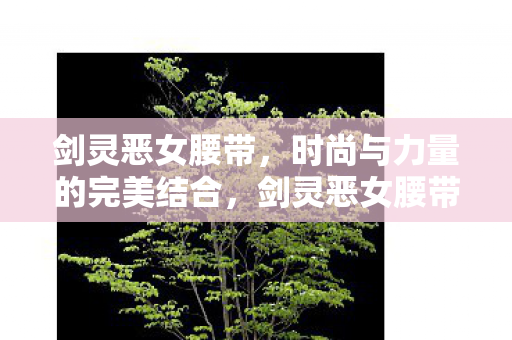 剑灵恶女腰带，时尚与力量的完美结合，剑灵恶女腰带，时尚与力量的时尚融合