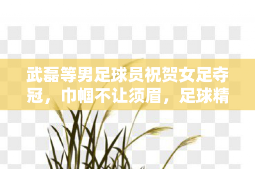 武磊等男足球员祝贺女足夺冠，巾帼不让须眉，足球精神共传承，武磊等男足球员祝贺女足夺冠，巾帼不让须眉，足球精神共传承