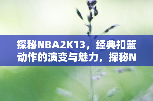 探秘NBA2K13，经典扣篮动作的演变与魅力，探秘NBA2K13，经典扣篮动作的演变与魅力