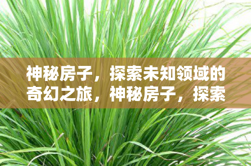 神秘房子,探索未知领域的奇幻之旅,神秘房子,探索未知领域的奇幻之旅 神秘房子,探索未知领域的奇幻之旅,神秘房子,探索未知领域的奇幻之旅