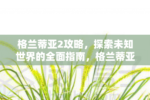 格兰蒂亚2攻略，探索未知世界的全面指南，格兰蒂亚2，探索未知世界的全面攻略