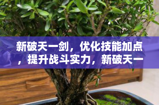 优化技能加点图片