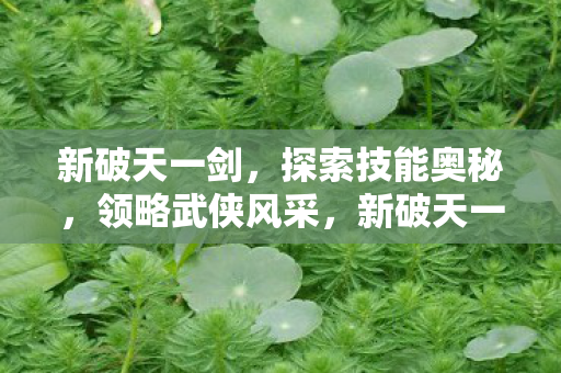 新破天一剑探索技能奥秘图片
