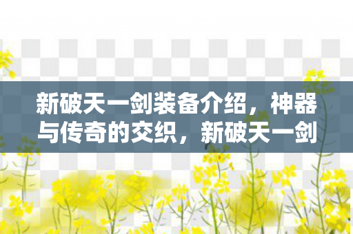 神器与传奇的交织装备揭秘图片