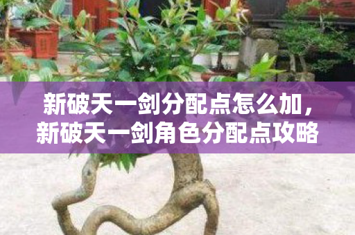新破天一剑角色分配点攻略图片