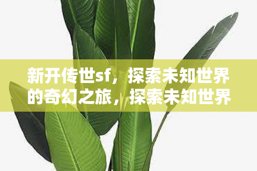 新开传世sf，探索未知世界的奇幻之旅，探索未知世界的奇幻之旅，新开传世sf等你来战