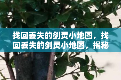 找回丢失的剑灵小地图图片