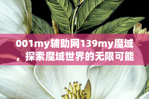 001my辅助网139my魔域图片