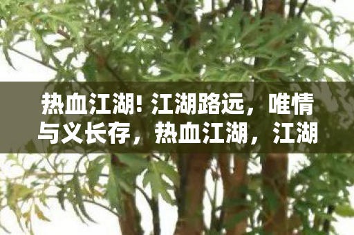 热血江湖! 江湖路远,唯情与义长存,热血江湖,江湖路远,唯情与义长存 热血江湖! 江湖路远,唯情与义长存,热血江湖,江湖路远,唯情与义长存
