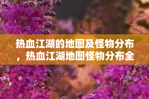 热血江湖的地图及怪物分布，热血江湖地图怪物分布全解析