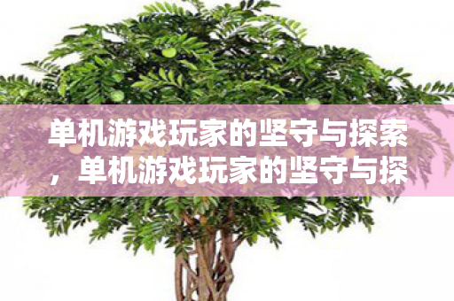 单机游戏玩家的坚守与探索,单机游戏玩家的坚守与探索之路 单机游戏玩家的坚守与探索,单机游戏玩家的坚守与探索之路