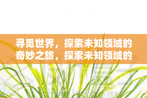 寻觅世界,探索未知领域的奇妙之旅,探索未知领域的奇妙之旅,寻觅世界 寻觅世界,探索未知领域的奇妙之旅,探索未知领域的奇妙之旅,寻觅世界