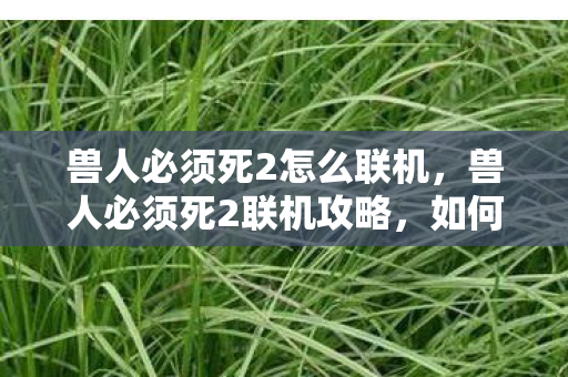 兽人必须死2怎么联机，兽人必须死2联机攻略，如何与好友组队挑战？