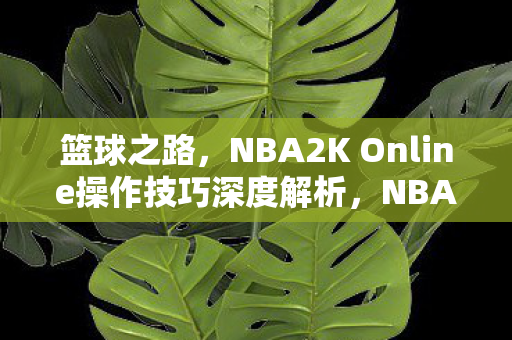 篮球之路，NBA2K Online操作技巧深度解析，NBA2K Online，篮球之路操作技巧深度解析