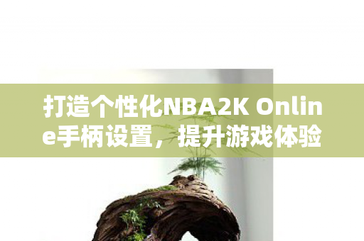 打造个性化NBA2K Online手柄设置，提升游戏体验的秘诀，揭秘，如何打造个性化NBA2K Online手柄设置，提升游戏体验？