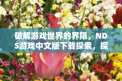 破解游戏世界的界限,NDS游戏中文版下载探索,探索游戏世界界限,NDS游戏中文版下载 破解游戏世界的界限,NDS游戏中文版下载探索,探索游戏世界界限,NDS游戏中文版下载