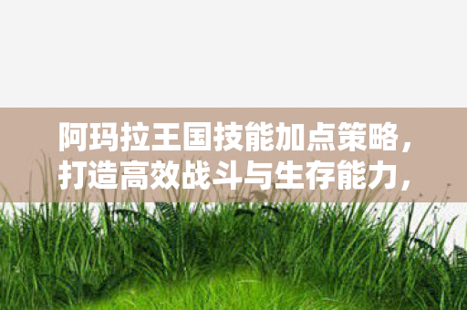 阿玛拉王国技能加点策略,打造高效战斗与生存能力,阿玛拉王国,技能加点策略,提升战斗与生存能力 阿玛拉王国技能加点策略,打造高效战斗与生存能力,阿玛拉王国,技能加点策略,提升战斗与生存能力