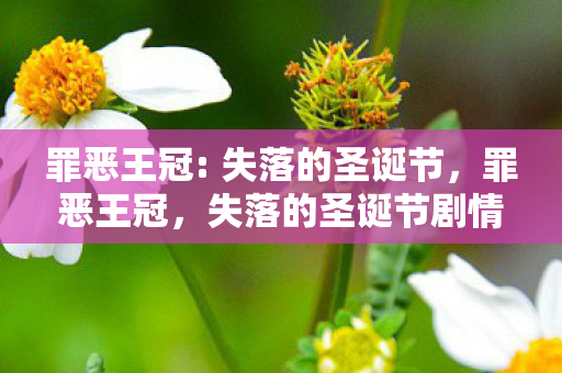 罪恶王冠: 失落的圣诞节，罪恶王冠，失落的圣诞节剧情解析